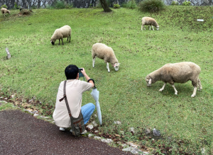 タイトルなし